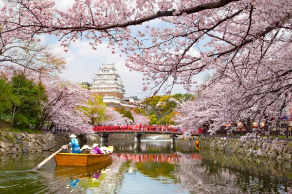 News at 9: Japan’s cherry blossom season is here, Ladakh to host Apricot blossom festival, Udaipur to host Mewar festival