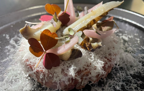 With 340 Michelin-starred restaurants Germany's Culinary Scene Soars to New Heights