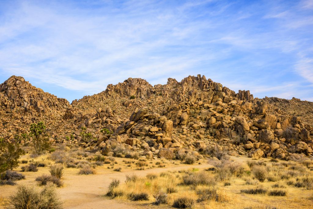 Joshua Tree National Park