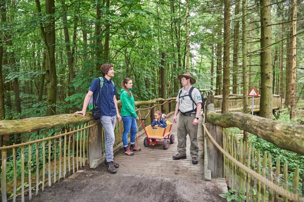 eifel national park trail