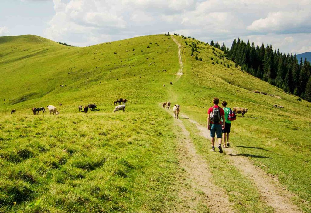 CAMINO PRIMITIVO