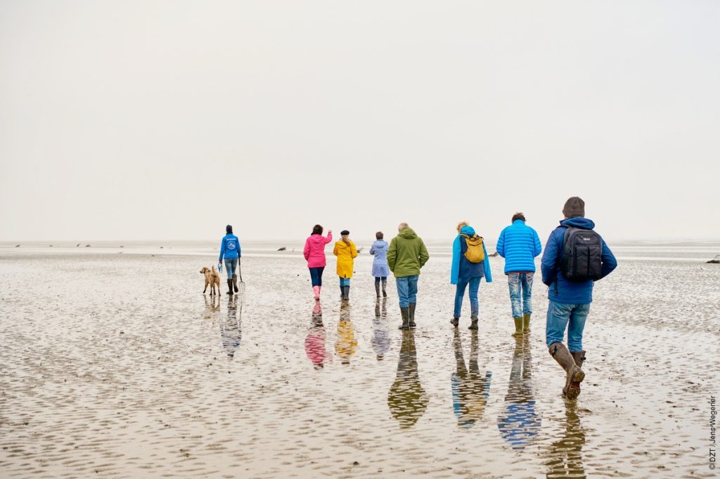 Wadden Sea Mudflat hiking