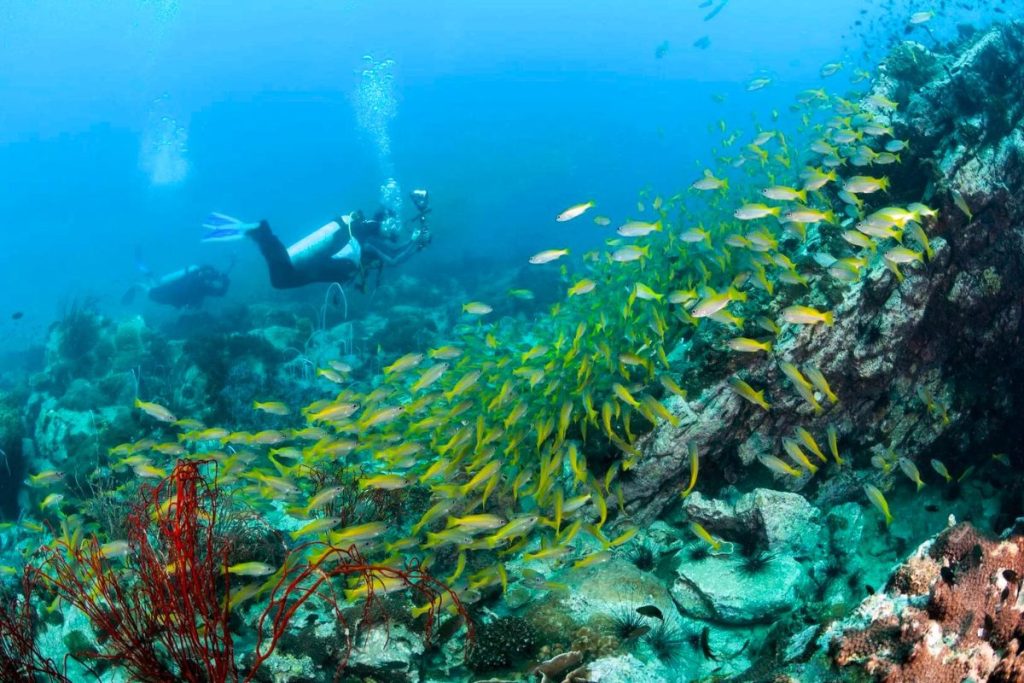 Scuba diving is a popular sport at Koh Chang, Trat. Photo by: MaeManee/ Shutterstock