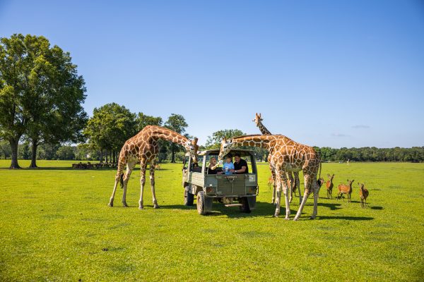 Global Wildlife Center