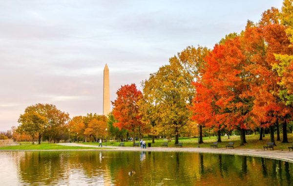 The Best Things to Do This Fall in Washington, DC