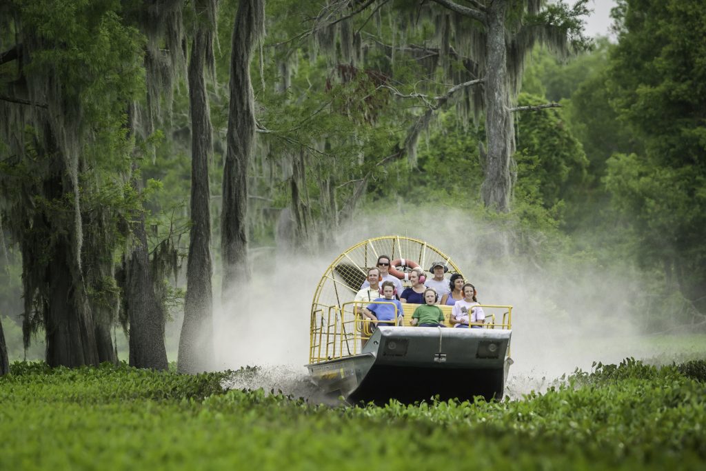 Swamp Tour