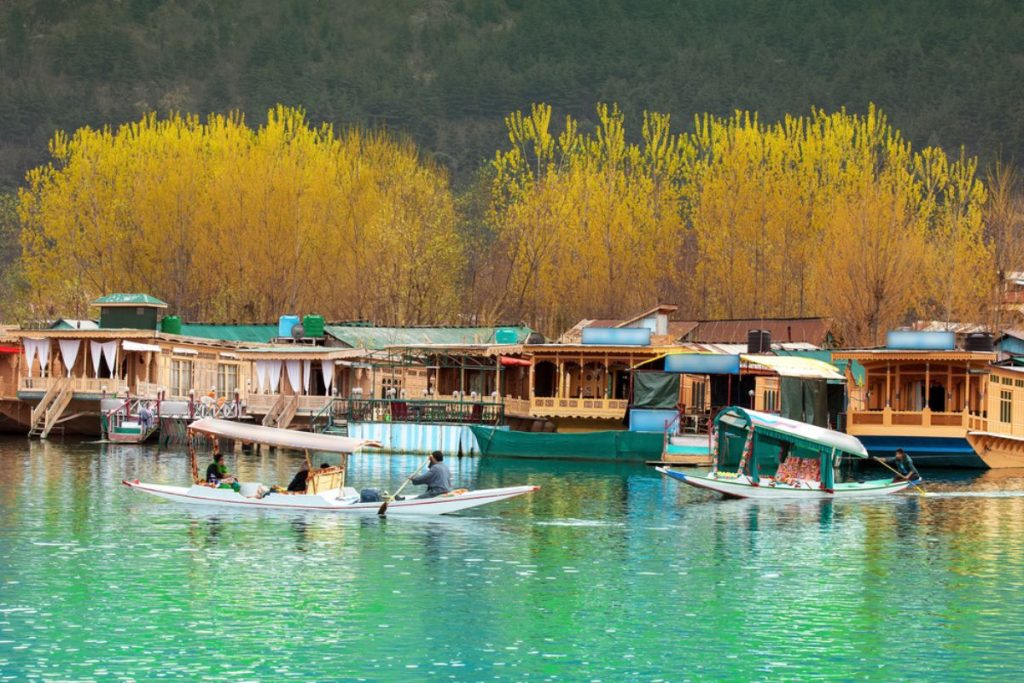 Shikara Rides on Dal Lake