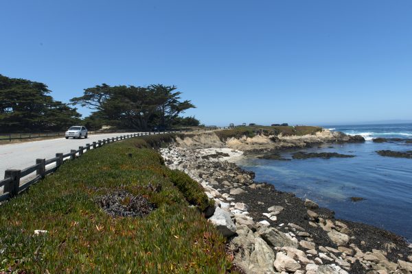 Coastal Getaways: A Scenic Road Trip Through California’s Central Coast