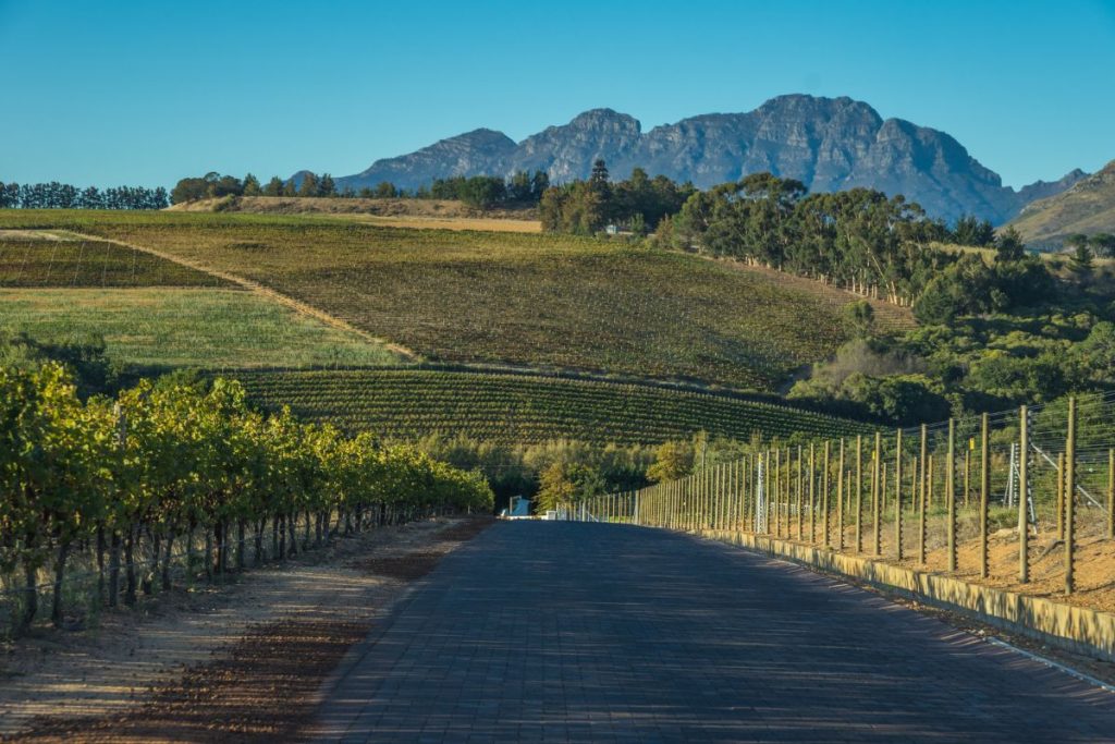 Cape Winelands