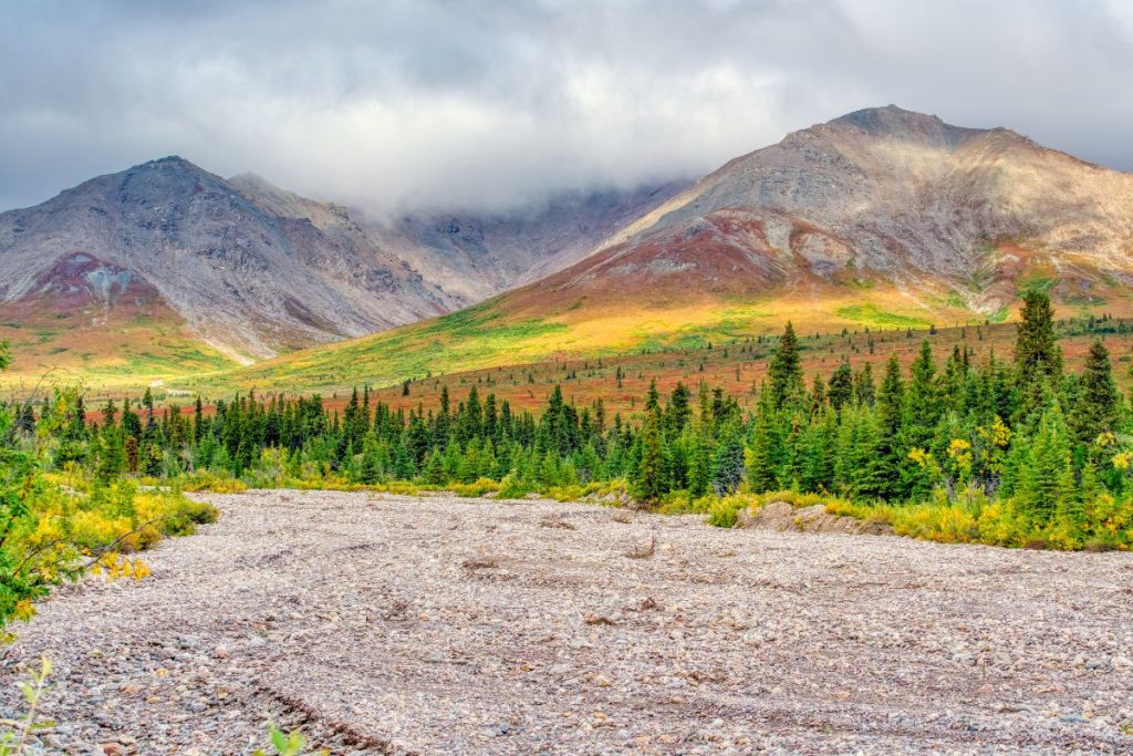 Denali National Park