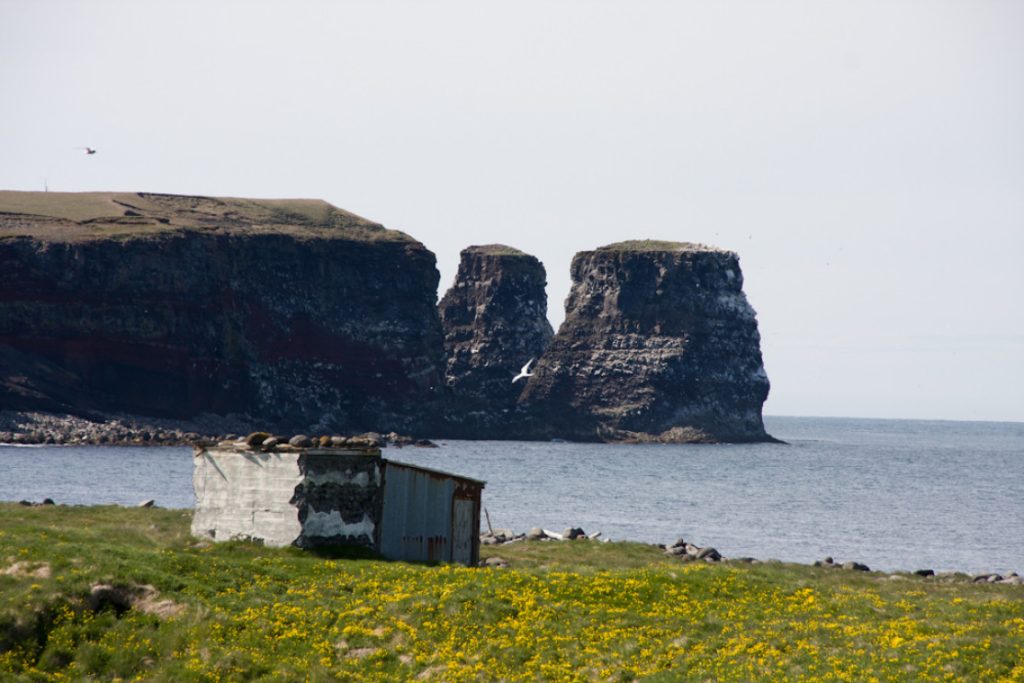 Melrakkaslétta Peninsula