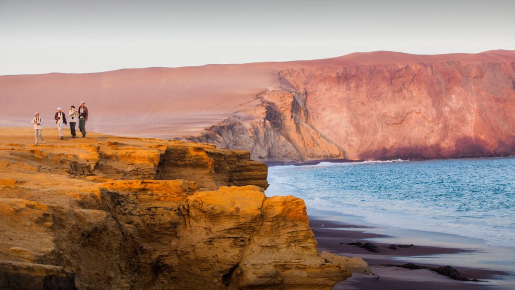 Paracas National Reserve 