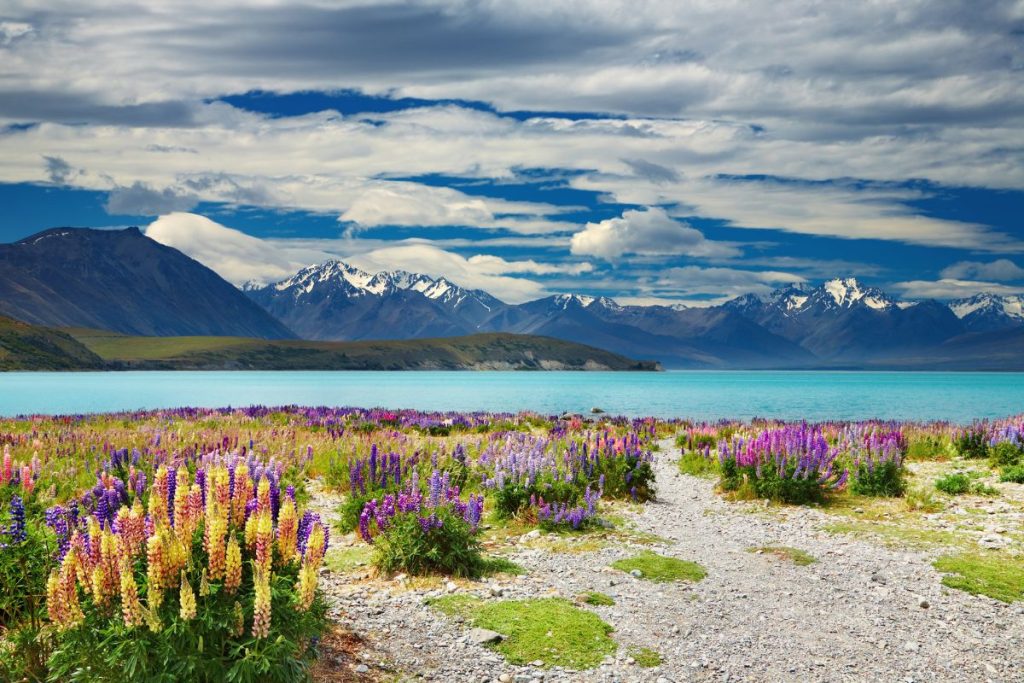 A Food Trail Through New Zealand's South Island: 6 Best Restaurants For The Ultimate Dining Experience