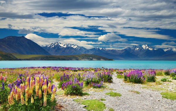 A Food Trail Through New Zealand's South Island: 6 Best Restaurants For The Ultimate Dining Experience