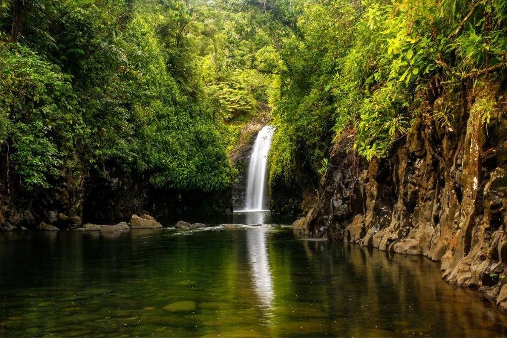 Taveuni Islands