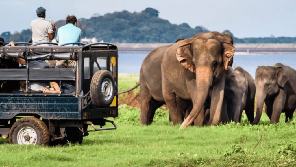 Yala National Park