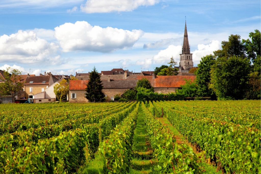 burgundy france