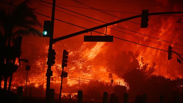 Travel alert issued as Los Angeles wildfires trigger state of emergency