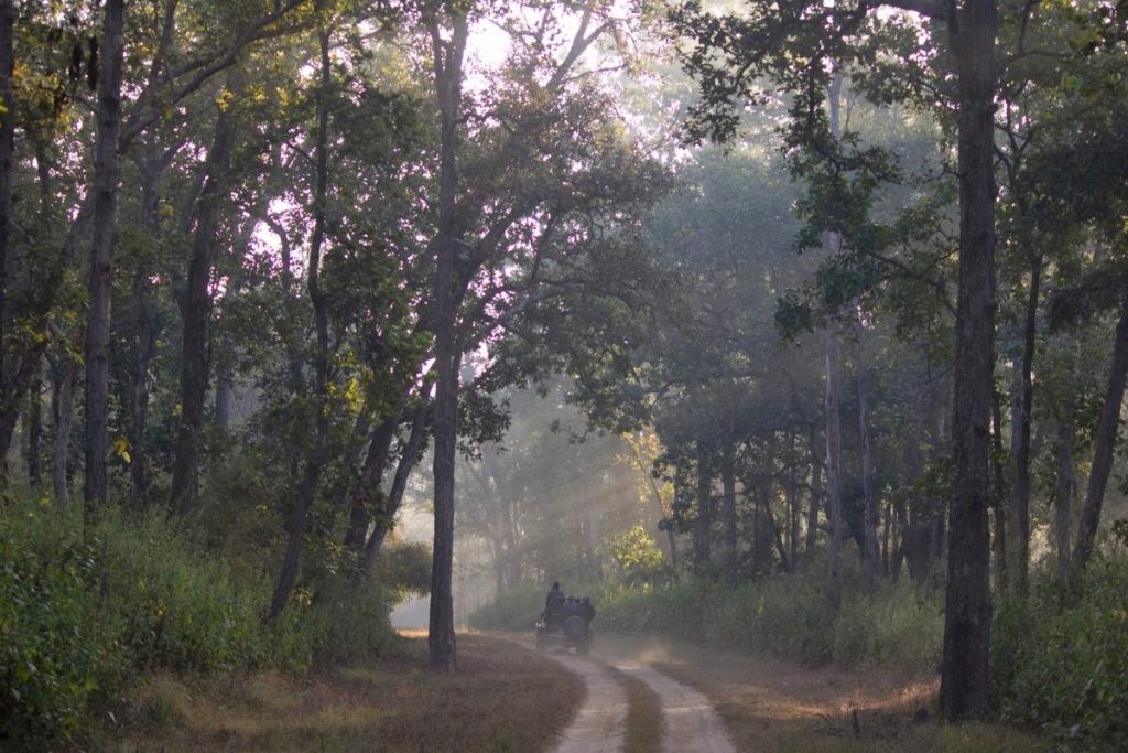 NAGZIRA WILDLIFE SANCTUARY