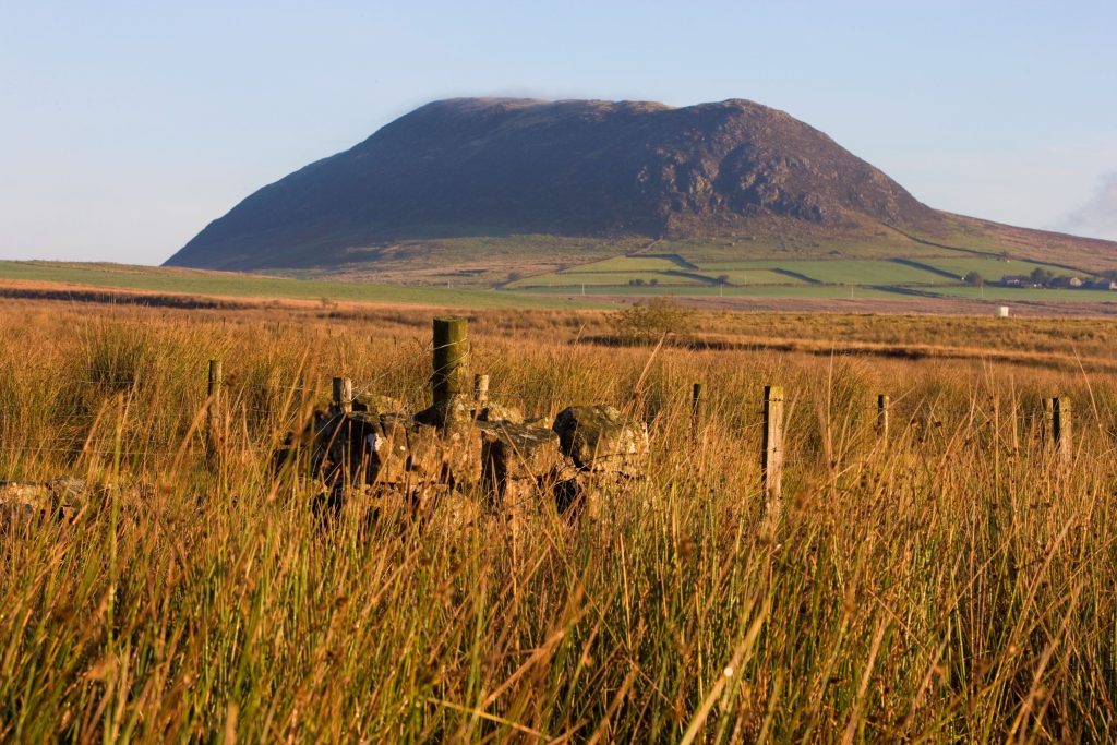 Slemish Mountain, Co Antrim. 